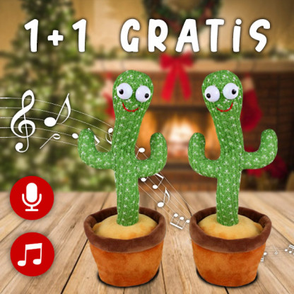 “Dancy” cactusul dansator 1+1 GRATIS