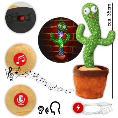 “Dancy” cactusul dansator 1+1 GRATIS