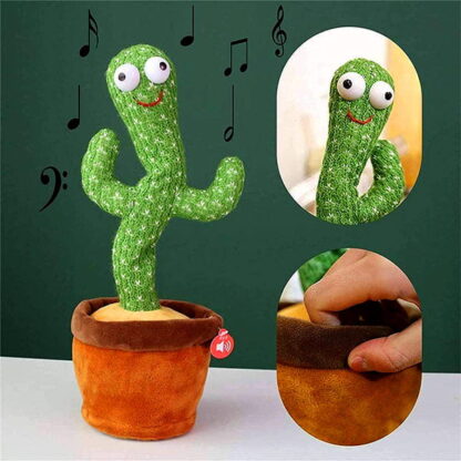 “Dancy” cactusul dansator 1+1 GRATIS
