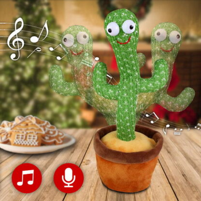 “Dancy” cactusul dansator 1+1 GRATIS