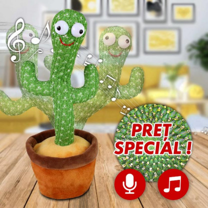 “Dancy” cactusul dansator