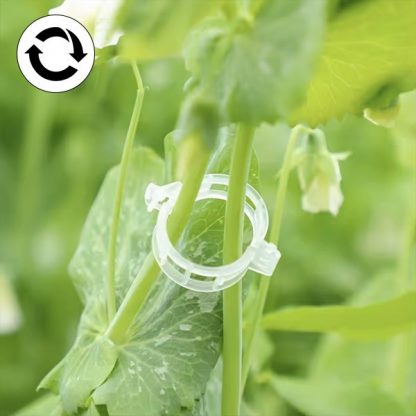 60x Suport pentru plante - GreenGrow