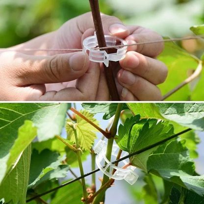 60x Suport pentru plante - GreenGrow